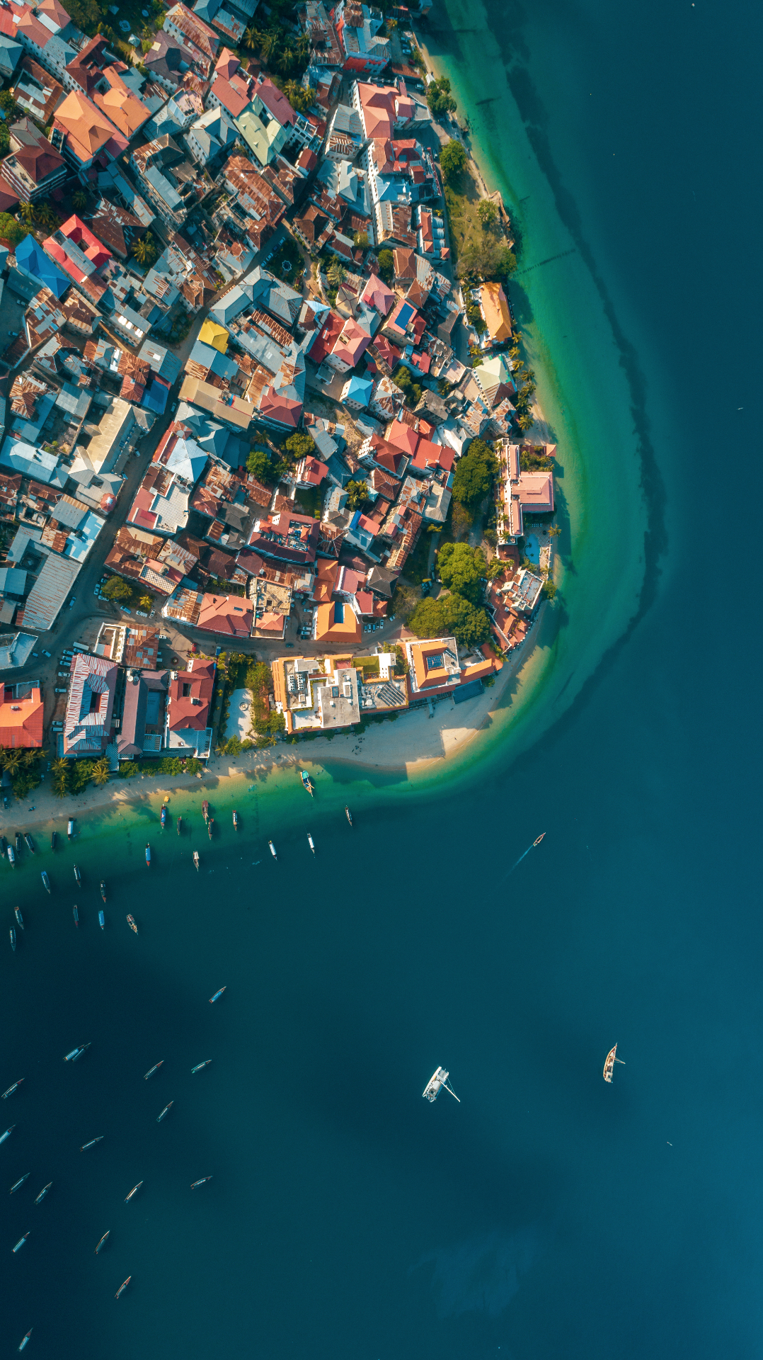Aerial view of Stone Town, Zanzibar