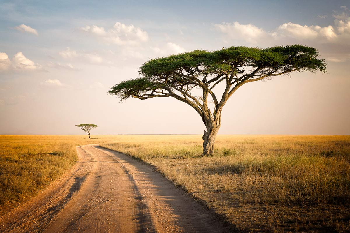 What Property Development Actually Means in East Africa
